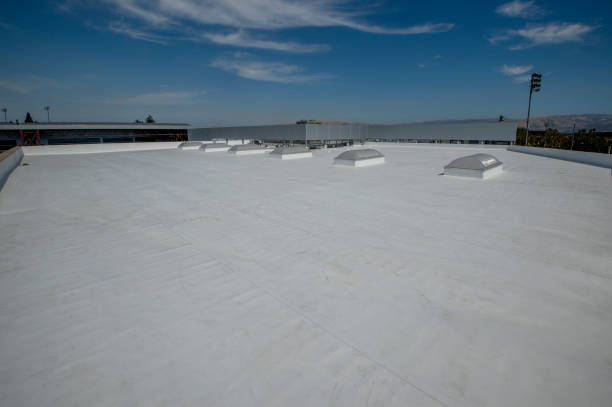 Best Roof Insulation Installation  in Waukegan, IL