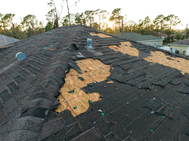 Best Emergency Roof Repair Services  in Waukegan, IL